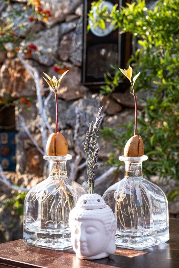 Casa Di Pietra Hotel Фетие Екстериор снимка